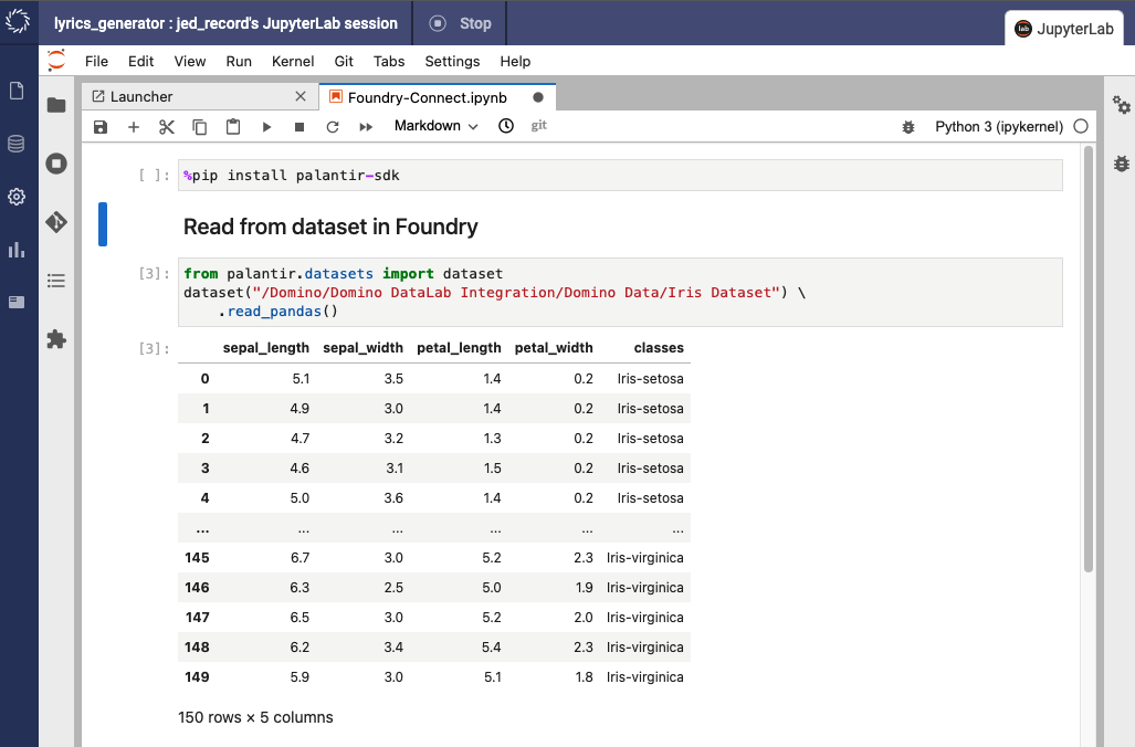 Jupyter notebook accessing a Palantir dataset and using the Palantir SDK