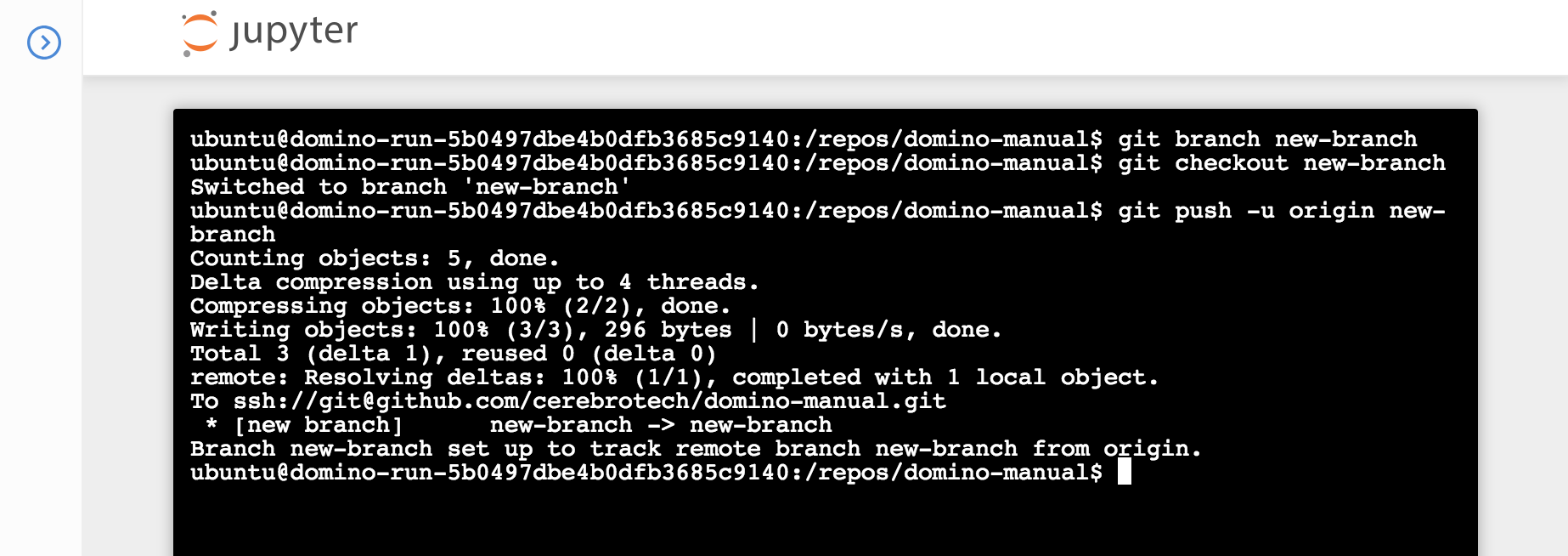 Detached head state new branch