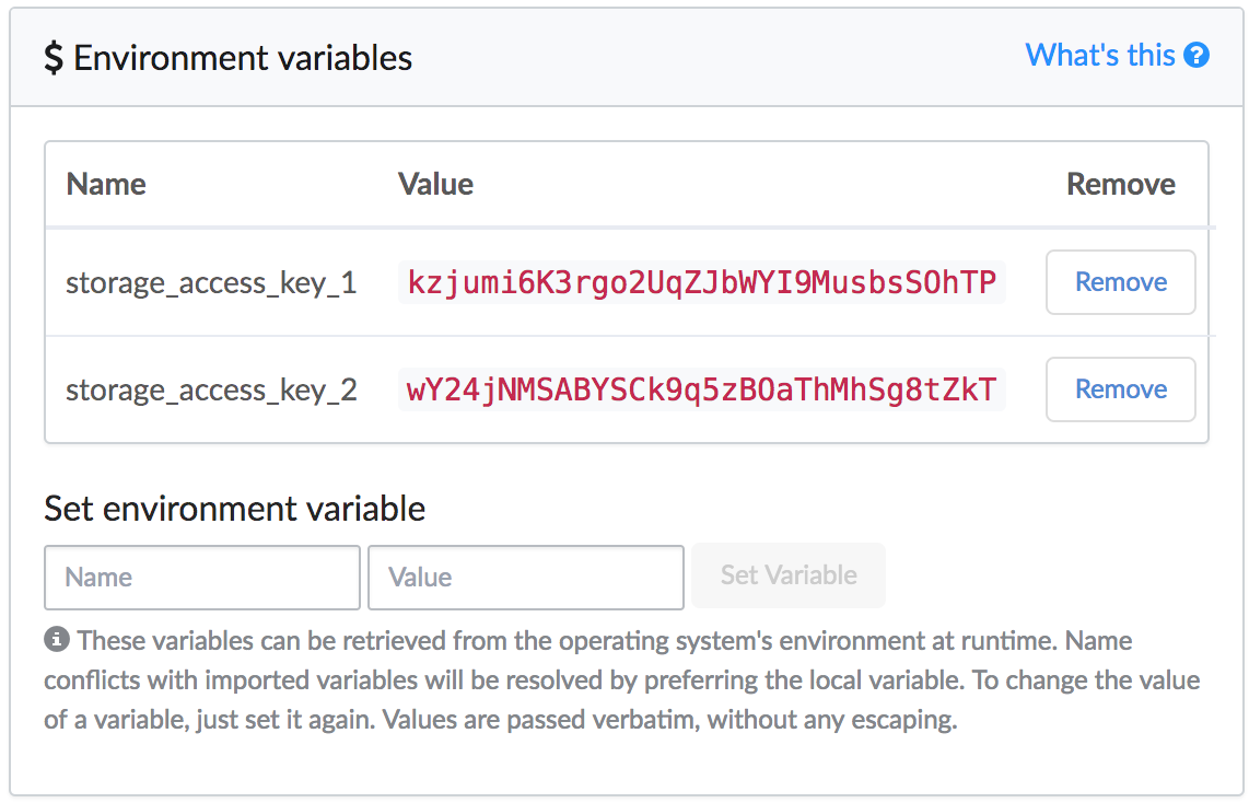 Project environment variables