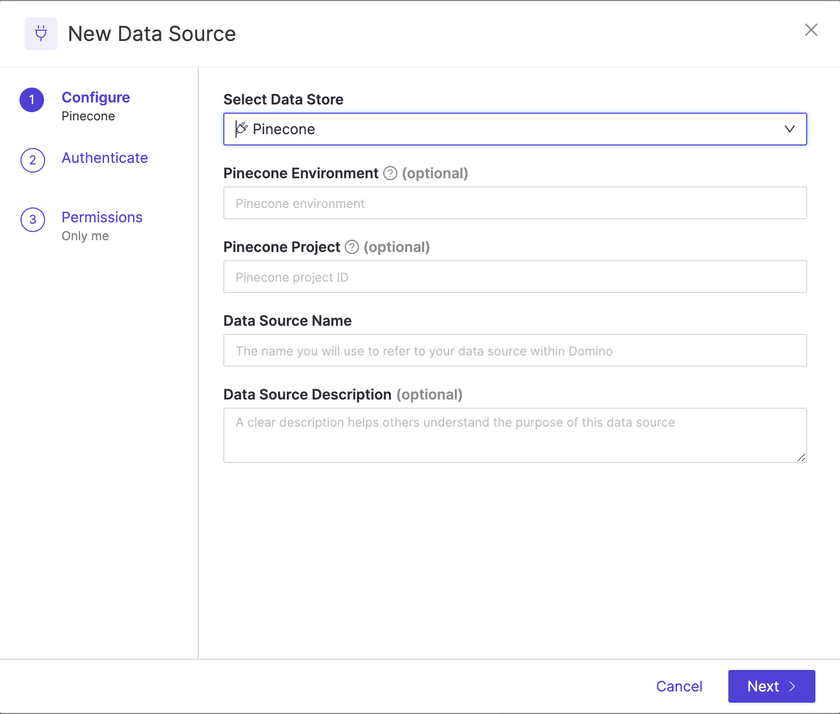 Pinecone Data Source