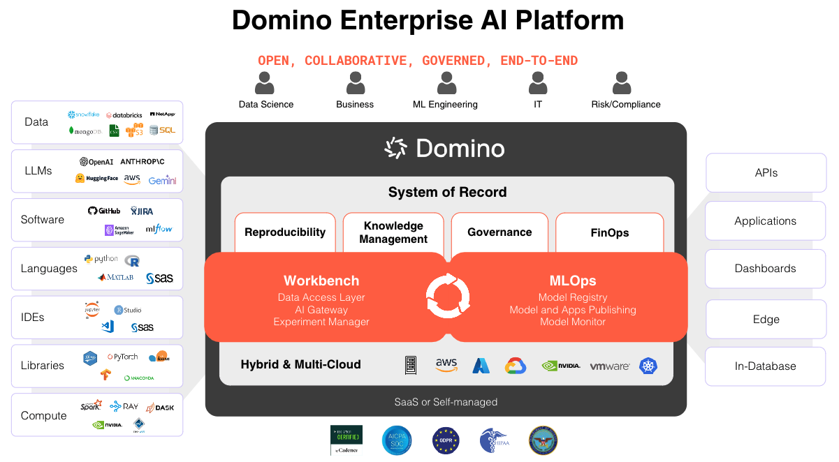 Domino machine learning ecosystem