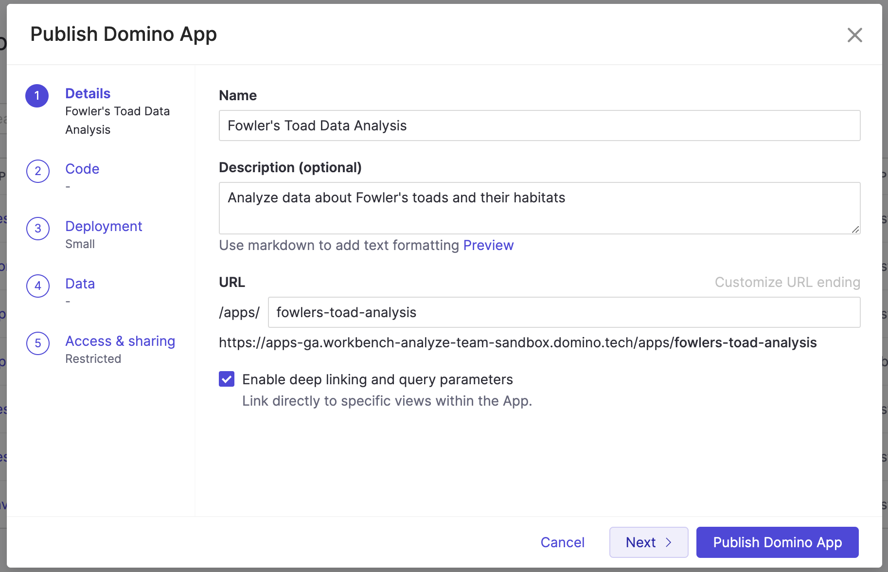 App Publishing Window