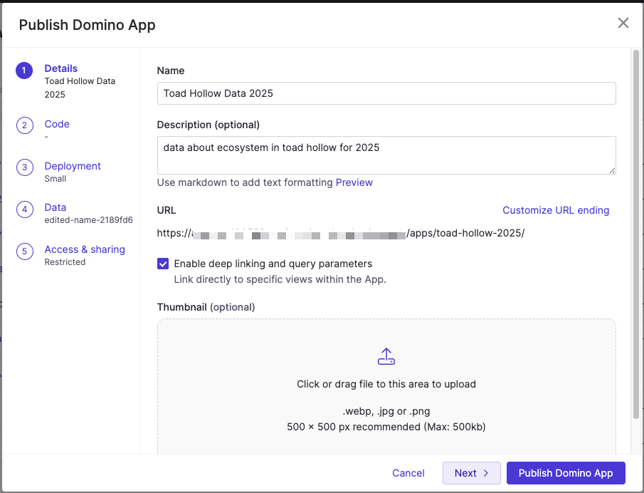App Publishing Window